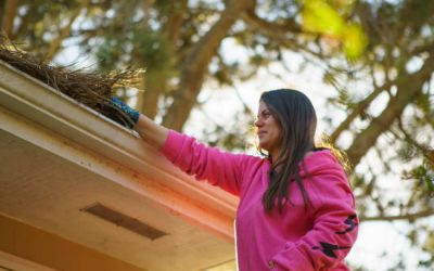 How Seasonal Changes Affect Your Gutters and Roof in Fredericksburg, VA