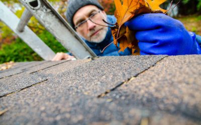 Gutter Replacement Timelines for Northern Virginia Homes