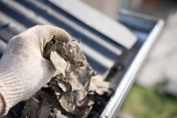 Winter Roof and Gutter Protection Tips for Homes in Falls Church, VA
