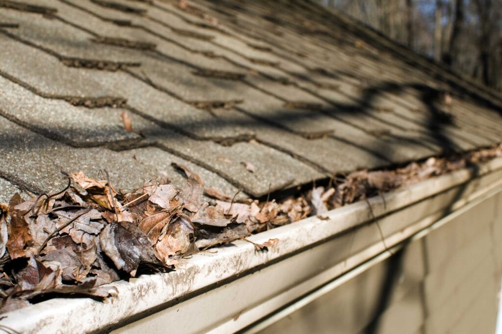 gutter cleaning, gutter maintenance, gutter care
