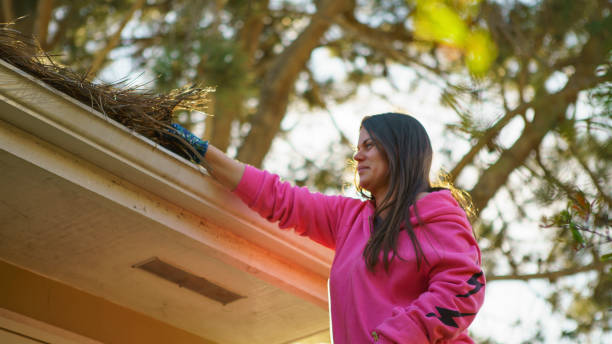 How Seasonal Changes Affect Your Gutters and Roof in Fredericksburg, VA