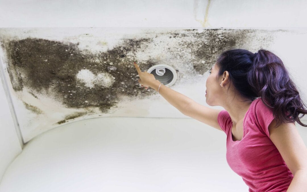 5 Common Causes of Roof Leaks in Fredericksburg, VA