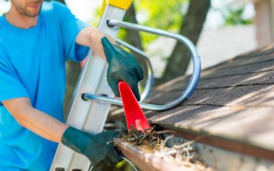 Why Fall Is the Best Time to Replace Your Roof in Alexandria, VA