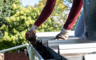 Is DIY Gutter Cleaning Worth It in Northern Virginia? Pros and Cons