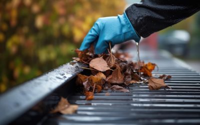 Gutter Cleaning Before Snow: Preparing Your Home in Arlington, VA for Winter
