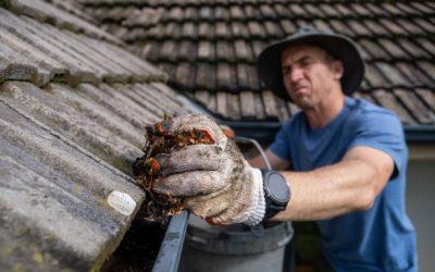 Gutter Replacement Services in Northern Virginia: When Is It Time to Replace?