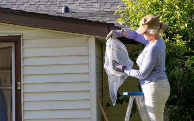 How to Prevent Gutter Clogs in Northern Virginia’s Fall Season