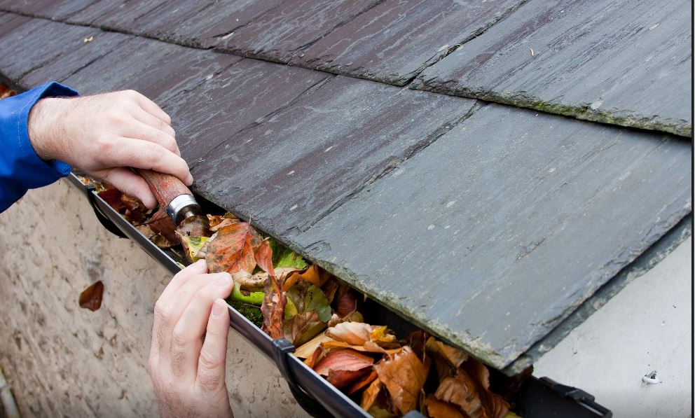 Best Gutter Cleaning Services in Northern Virginia: How to Choose the Right One