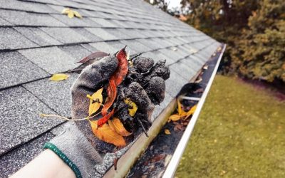 Affordable Roofing and Gutter Repair in Northern Virginia: Tips for Saving Money