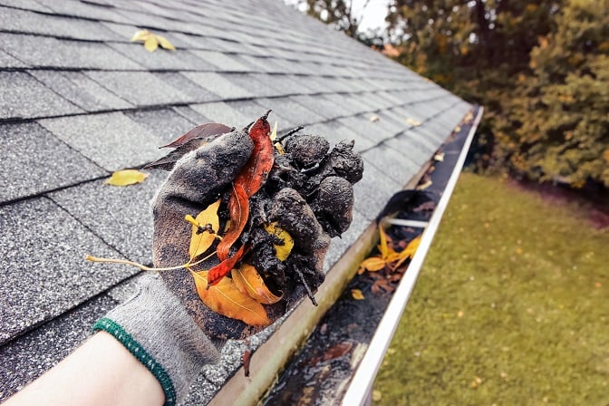 How Often Should You Clean Your Gutters in Northern Virginia?