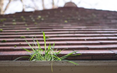 Common Roofing Problems in Fairfax, VA