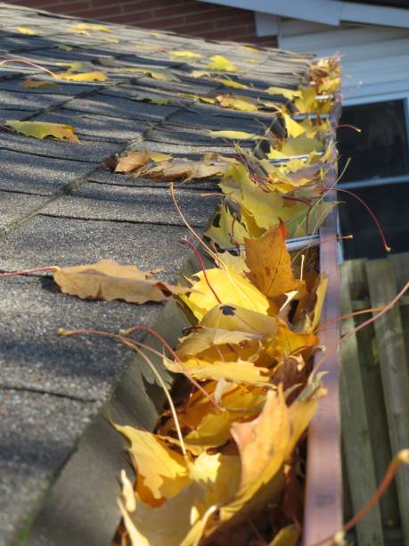 Roofing Repair Services in Northern Virginia