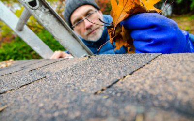 Local Roofing Experts in Northern Virginia: Why Trust a Local Contractor?