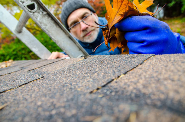 Gutter Replacement Timelines for Northern Virginia Homes