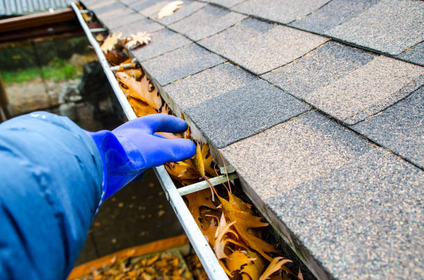 How to Protect Your Gutters from Fall Leaves in Northern Virginia