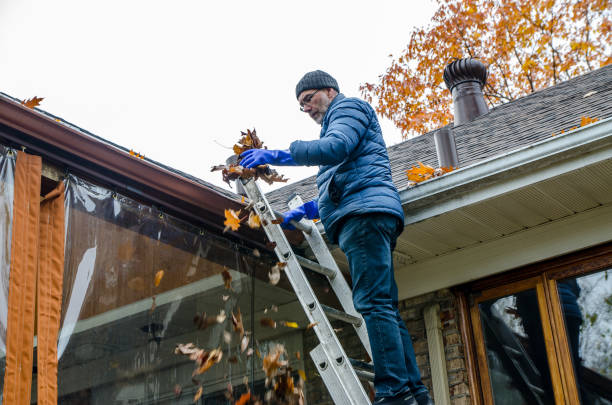 Gutter Replacement for Homeowners in Northern Virginia