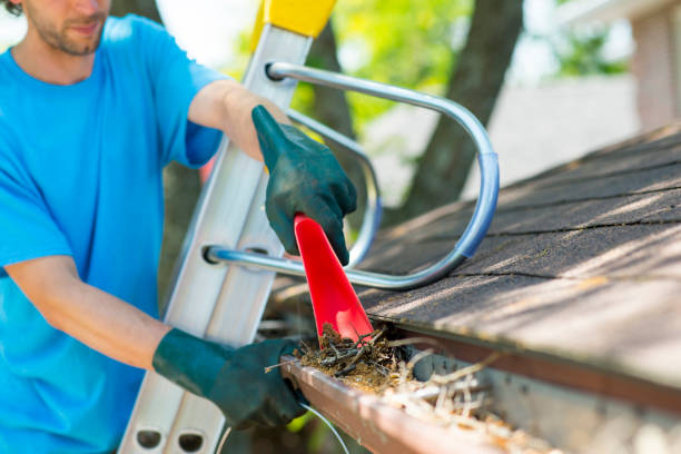 Gutter Replacement in Northern Virginia