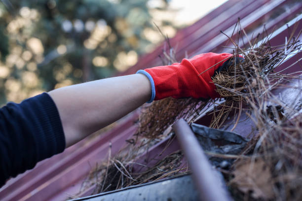 Gutter Replacement vs. Gutter Repair in Northern Virginia