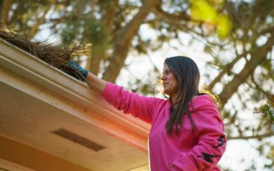 How Seasonal Changes Affect Your Gutters and Roof in Northern Virginia