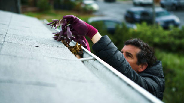 Affordable Gutter Replacement in Fairfax, VA