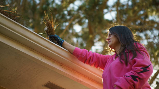 How to Choose the Right Gutter Material in Arlington, VA