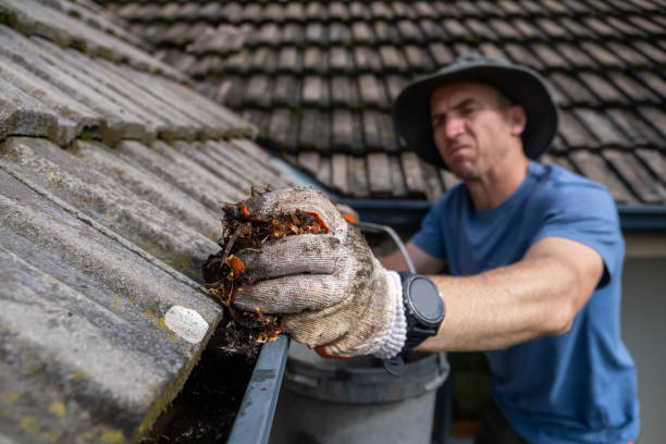 Gutter Replacement Services in Northern Virginia: When Is It Time to Replace?