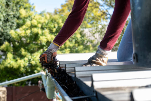 Is DIY Gutter Cleaning Worth It in Northern Virginia? Pros and Cons