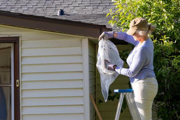 How to Prevent Gutter Clogs in Northern Virginia’s Fall Season