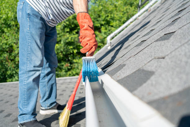 Benefits of Regular Gutter Cleaning in Falls Church, VA