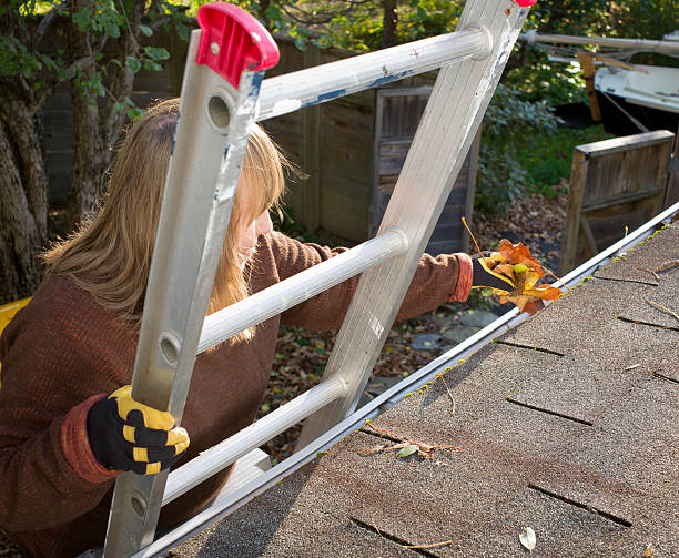 Top Gutter Cleaning Mistakes Homeowners Make in Northern Virginia