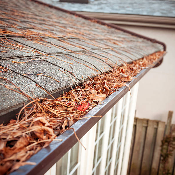 Gutter Cleaning Near Me in Alexandria, VA: Why Local Matters