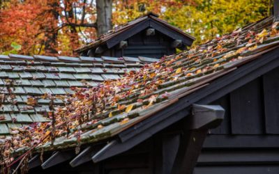 Gutter Cleaning for Homeowners in Fairfax: What You Need to Know