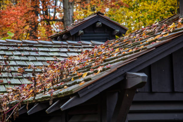 Gutter Cleaning for Homeowners in Fairfax: What You Need to Know