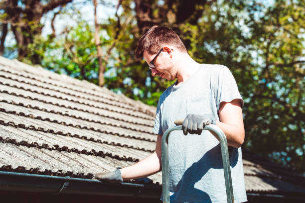 Roof Repair Costs in Northern Virginia: What You Need to Know