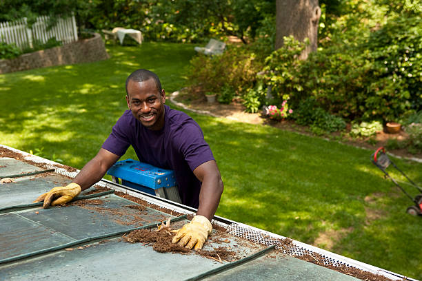 How to Clean Your Gutters Safely in Northern Virginia: DIY vs. Professional Help