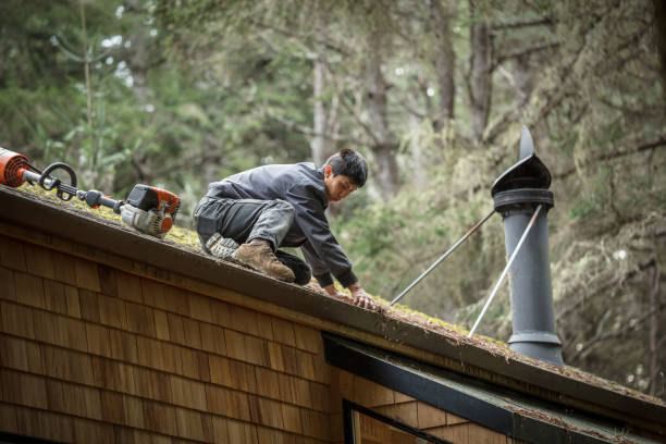 How to Extend the Life of Your Roof in Loudoun County, VA