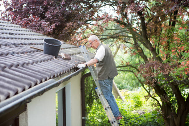 Roof Leaks and Gutter Issues in Northern Virginia Homes