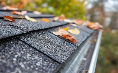 The Ultimate Home Maintenance Checklist for Northern Virginia Homeowners: Roofs and Gutters