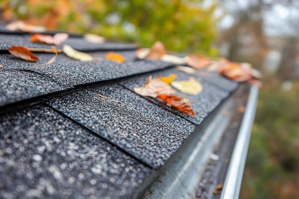 The Ultimate Home Maintenance Checklist for Northern Virginia Homeowners: Roofs and Gutters