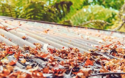 What Insurance Covers Roof and Gutter Repairs in Northern Virginia?