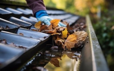 Spring Roofing & Gutter Maintenance in Alexandria, VA: What to Look For