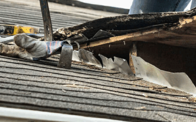 What to Do Right After a Storm Damages Your Roof in Alexandria, VA