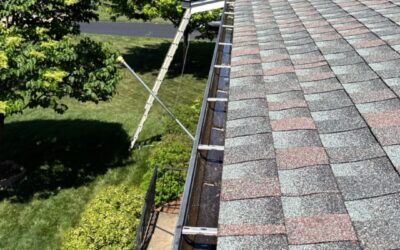 Why Are My Gutters Overflowing? Common Causes and Solutions for Homeowners